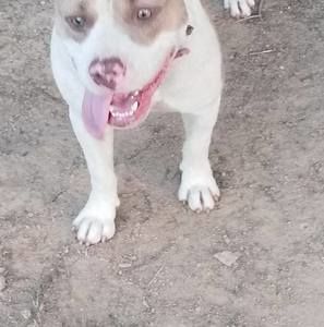 Meet your Posher, Marcus